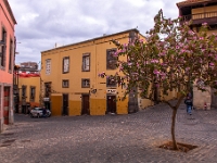 Las Palmas de Gran Canaria
